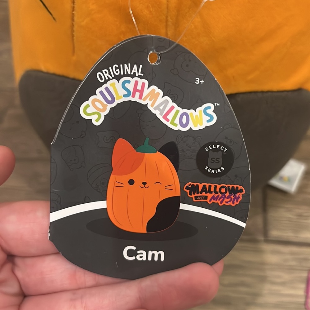 🎃 Pumpkin Cam Cat Mallow Mash Select Series Original Squishmallows 12” BNWT - Picture 5 of 8